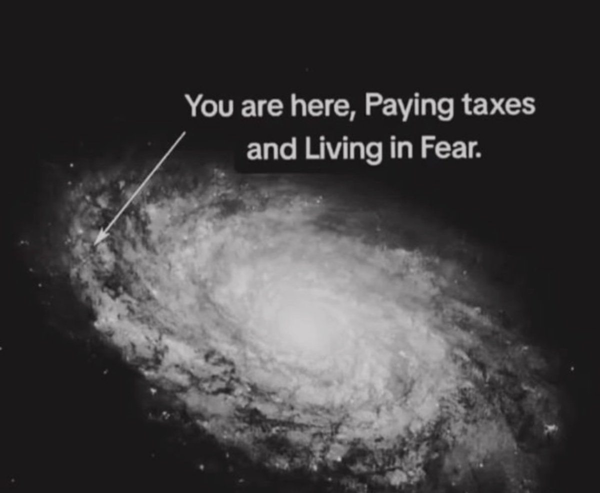 alexeixbt's tweet photo. If you can't beat fear, just do it scared. https://t.co/y24XN7br0b