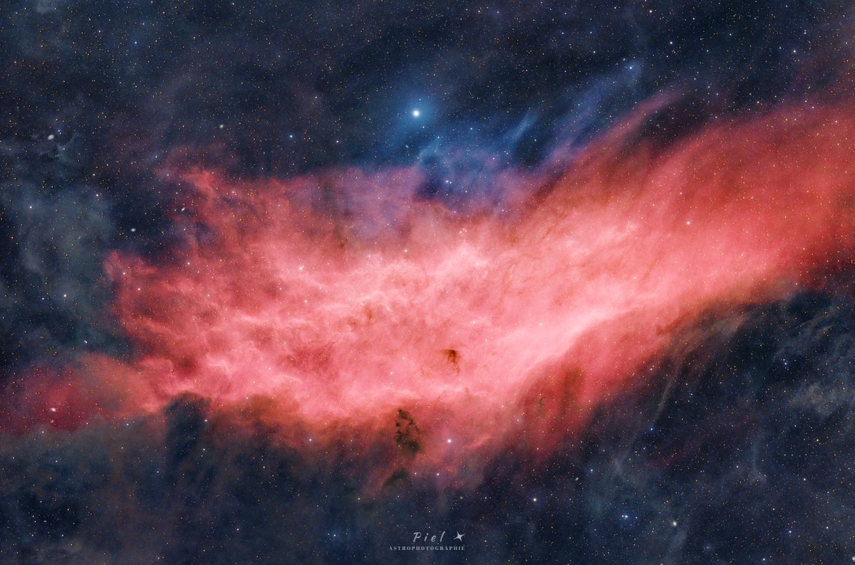 PielClement's tweet photo. NGC 1499 (aka California nebula) is an emission nebula visible in the constellation Perseus. 25h cumulated exposure from my backyard, in the north of Montpellier (south of France).

More technical details: https://t.co/Zwgf70sYDN

#astrophotography #astronomy https://t.co/L16EFyCRoS