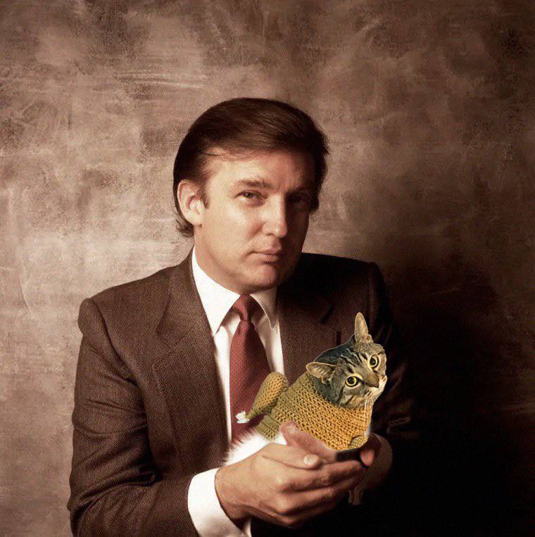 So many reasons to be bullish
Trump also loves turkeycat ++