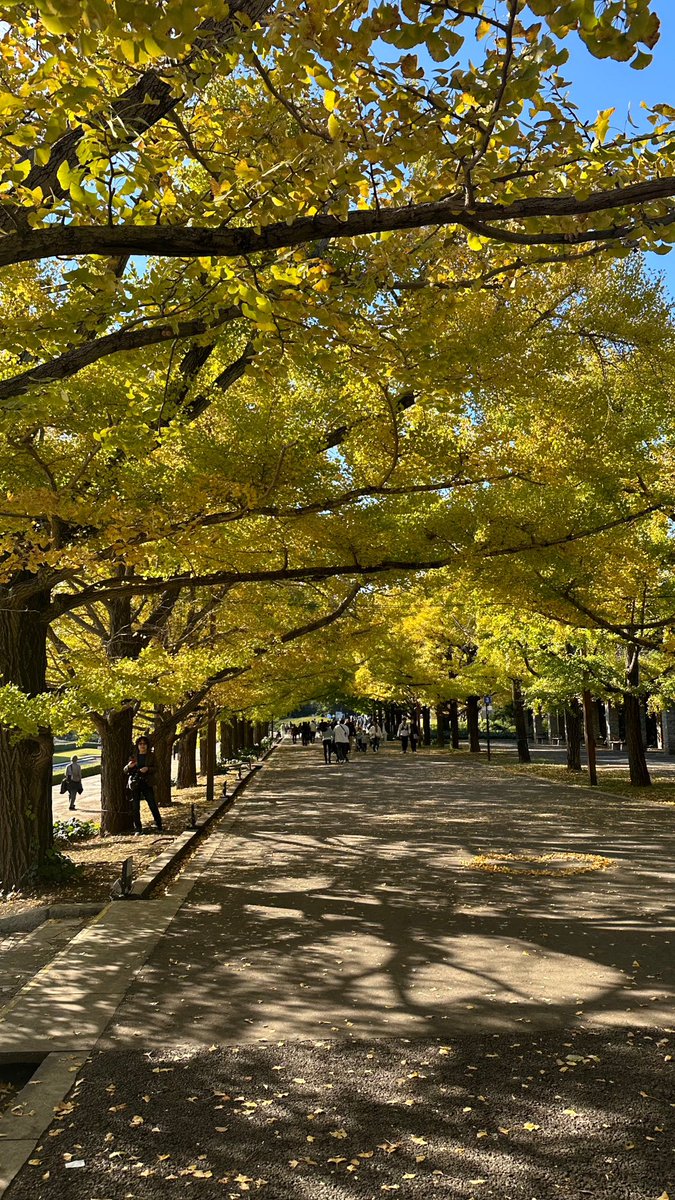 stb_2764's tweet photo. 韓国で貰ったテイクアウト用バッグと一緒に昭和記念公園へ🍂オシャレ感が増す気がする…😂
日本もこのスタイルにしてくれたら良いのに〜🤎
#スタバ #Starbucks_J https://t.co/UqZ6AsF3BU