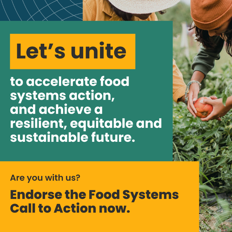 EITFood's tweet photo. Change is not happening fast enough.⏳ 

This year at #COP29, we’re coming together as ONE #FoodSystems community with over 300 actors at @‌ActionOnFood, making bold calls for urgent action on food for people &amp; planet. 🌍✊🌱

Explore the full programme: https://t.co/wxZzsQyaVt