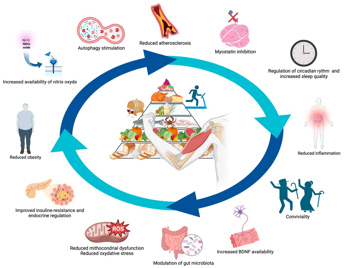 Nutrients_MDPI's tweet photo. Recommend the highly Viewed Paper "Low Adherence to  Mediterranean Diet Is Associated with Probable Sarcopenia in  Community-Dwelling Older Adults: Results from the Longevity Check-Up  (Lookup) 7+ Project" by Stefano Cacciatore and Riccardo Calvani et al. 
https://t.co/kqUjOzEHZ7 https://t.co/XZhOhZRyqB