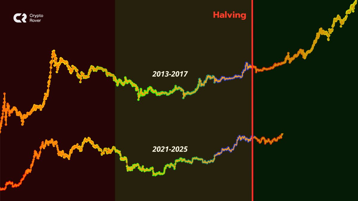 We've entered the most powerful part of the #Bitcoin bull market.