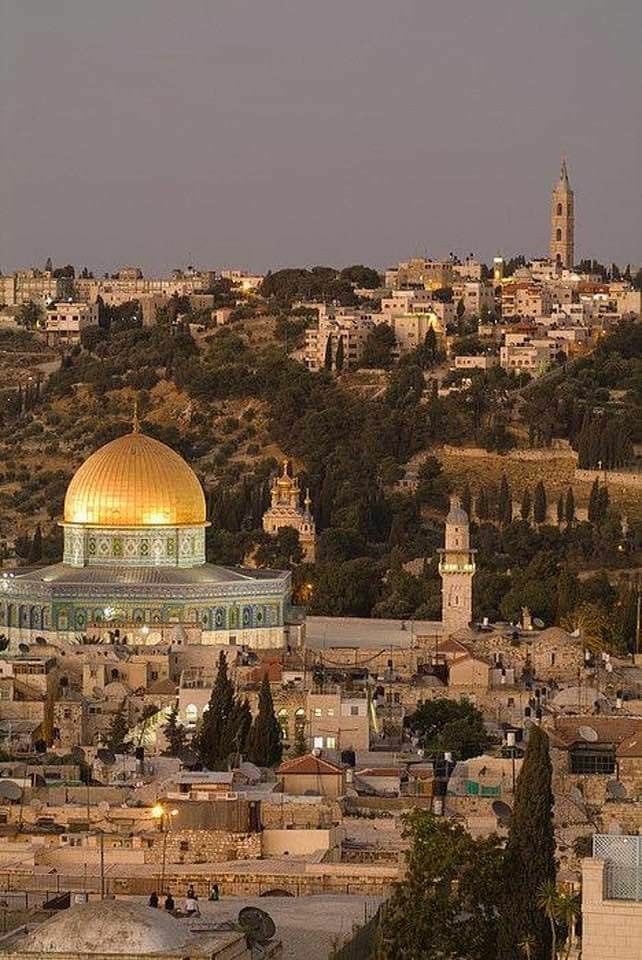 Arabbeau's tweet photo. Palestine ❤️ https://t.co/WQc3oN7nXG