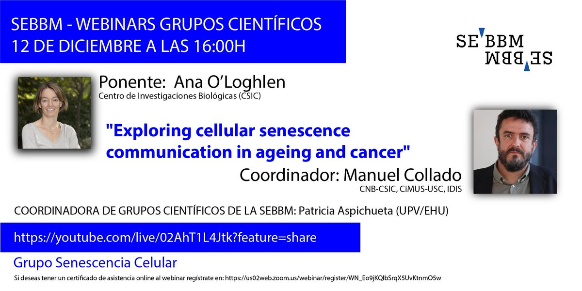 🗓️El próximo 12 de diciembre  "Webinar del grupo Senescencia Celular" coordinado por Manuel Collado y Patricia Aspichueta #gruposcientíficossebbm 
🗣️Ana O'Loghlen
✍️ i.mtrbio.com/nbminngzzx
▶️ Síguelo en directo: i.mtrbio.com/bhxzdceeek