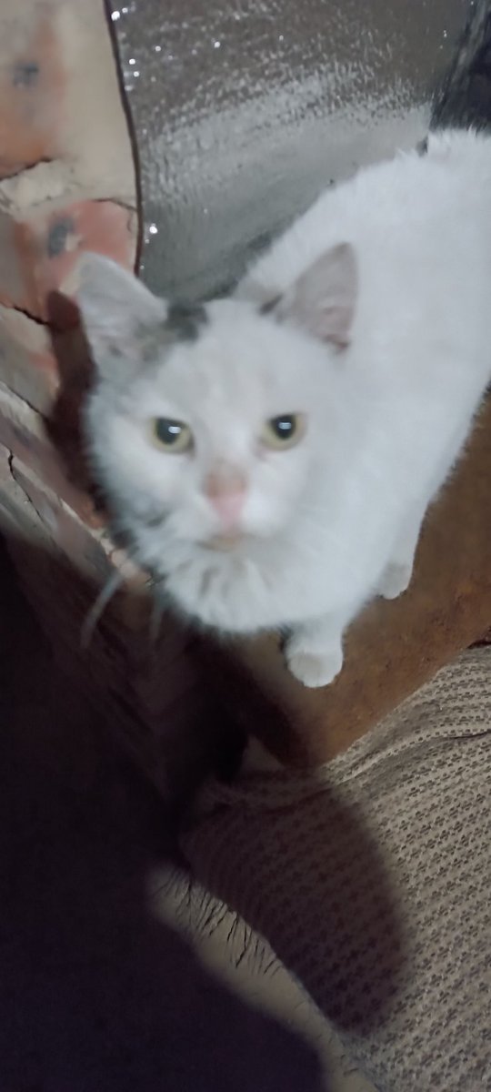 Vasyl Kostyrenko🇺🇦 tweet media