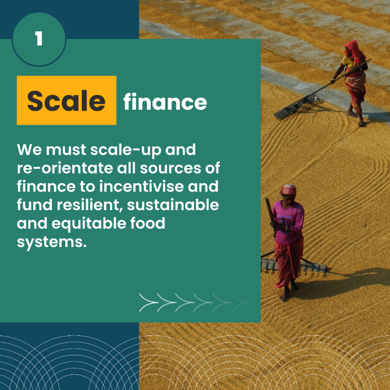 EITFood's tweet photo. Change is not happening fast enough.⏳ 

This year at #COP29, we’re coming together as ONE #FoodSystems community with over 300 actors at @‌ActionOnFood, making bold calls for urgent action on food for people &amp; planet. 🌍✊🌱

Explore the full programme: https://t.co/wxZzsQyaVt