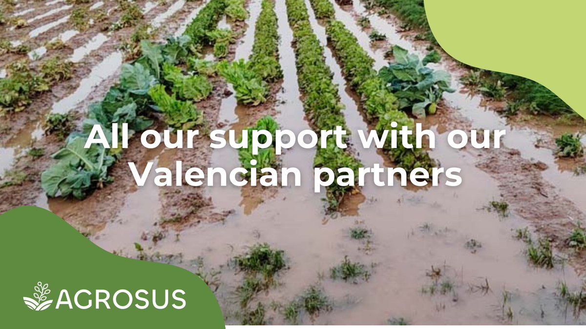 Our thoughts are with our #ValencianPartners at <a href="/UPV/">Universitat Politècnica de València</a> as they face the challenges of the recent #DANA. Our fields were partially affected, but we stand united in support 💪🤍

We’re closely #Monitoring the situation, we will share updates soon.