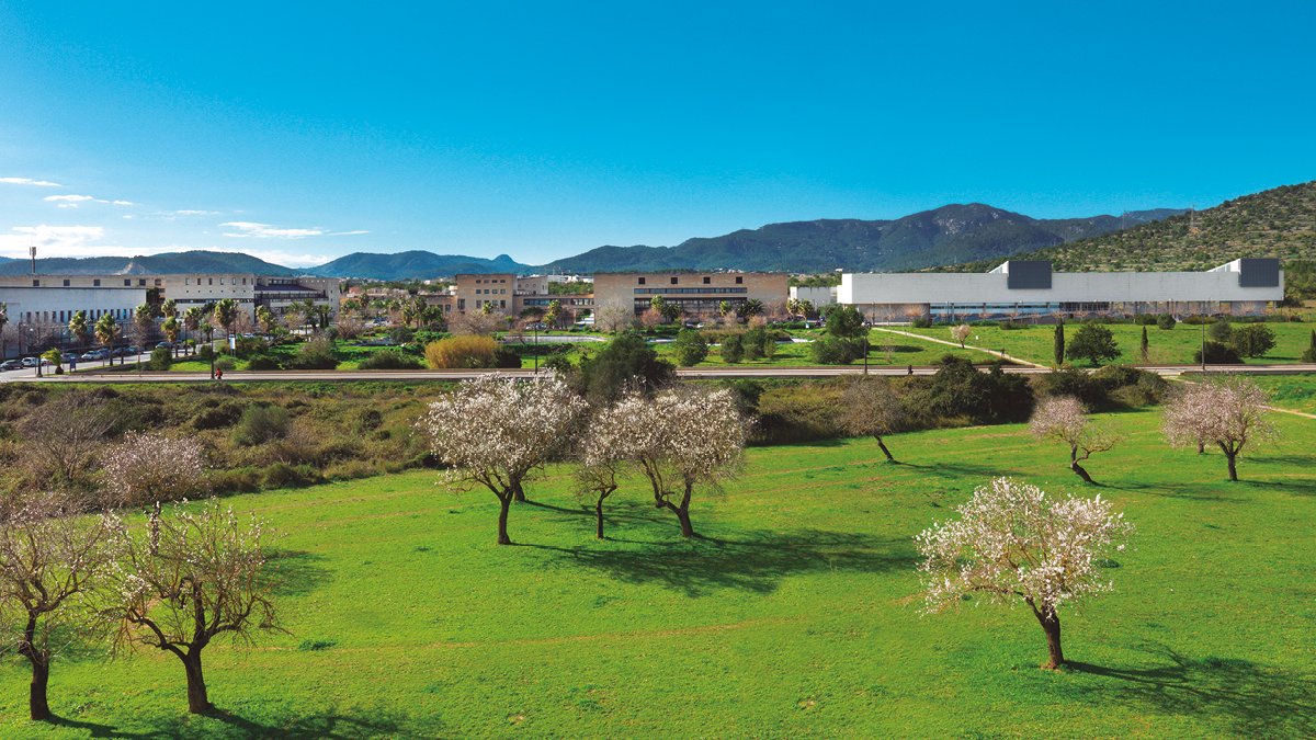 AlexGalvezPol's tweet image. Dear all
I'm hiring a PhD candidate (3 years) to work in Active Sensing, EEG & Interoception! 🧠🫀🫁
This is a great opportunity: beautiful campus, novel research. In collab. with the Max Planck Inst (@michagaebler)
Deadline: 22/11/24
+info: alexgalvezpol.com/joinlab/
PleaseRT