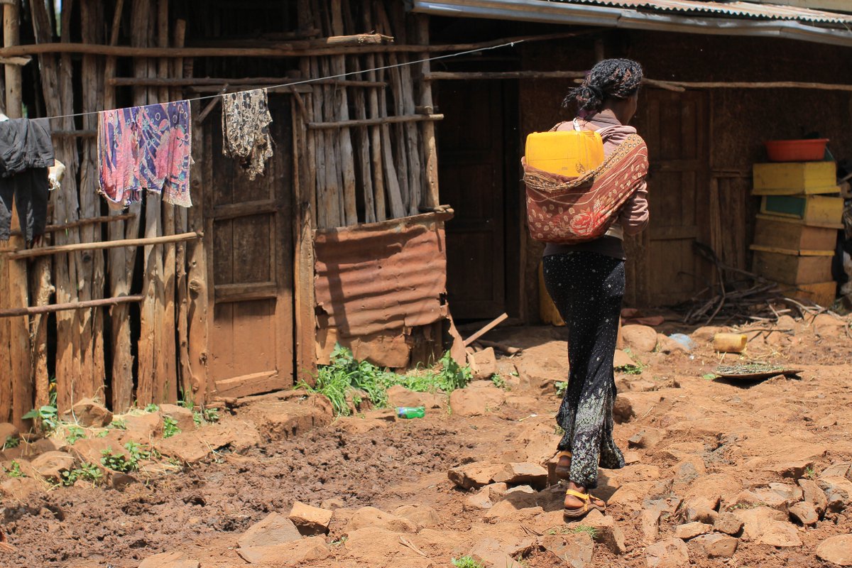 YoungLivesEthiopia (@youngliveseth) on Twitter photo In Ethiopia, 84% of the poorest Young Lives children faced extreme weather impacting the household economy by age 15, compared to 21% in the least poor.
#COP29Azerbaijan #climatechange #environmentalshocks
<a href="/FCDOGovUK/">Foreign, Commonwealth & Development Office</a> <a href="/yloxford/">Young Lives</a> <a href="/UniofOxford/">University of Oxford</a>
Read YL, PB - loom.ly/l1X5eeY In Ethiopia, 84% of the poorest Young Lives children faced extreme weather impacting the household economy by age 15, compared to 21% in the least poor.
#COP29Azerbaijan #climatechange #environmentalshocks
<a href="/FCDOGovUK/">Foreign, Commonwealth & Development Office</a> <a href="/yloxford/">Young Lives</a> <a href="/UniofOxford/">University of Oxford</a>
Read YL, PB - loom.ly/l1X5eeY