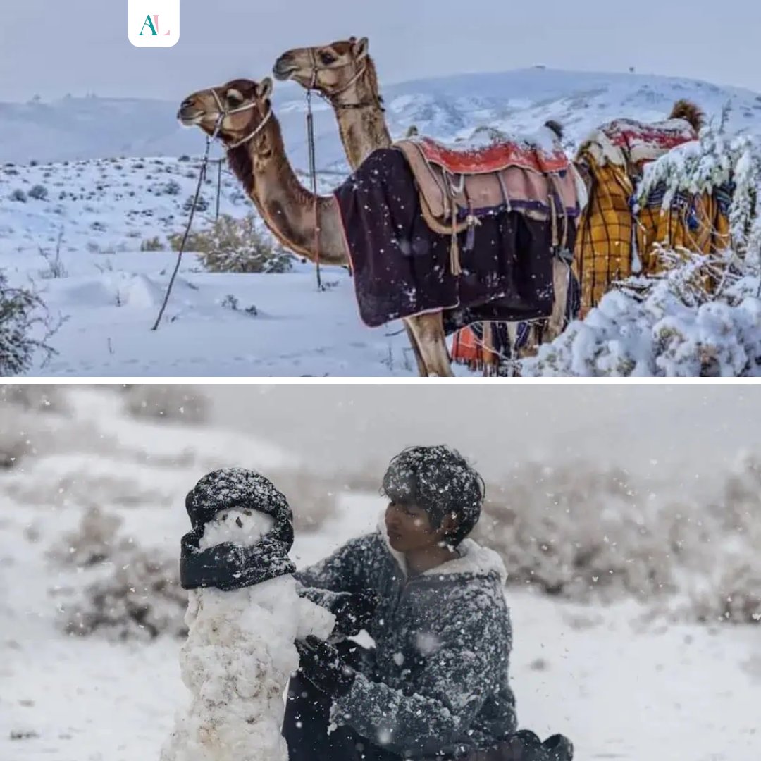 luxtrippers's tweet photo. ❄️ Saudi Arabia just experienced its first snowfall in the Al-Jawf region.❄️
Transforming the desert landscape into a winter wonderland. 🏂🏻
This rare event was accompanied by heavy rains and hail, creating a stunning scene with flowing waterfalls in the valleys. 🌧️
#SaudiSnow #AlJawf #DesertSnow #SaudiArabia #SnowatSaudi