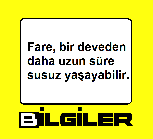 Bilgilertr's tweet photo. https://t.co/3me8rX94zP