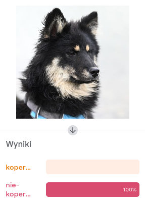 marcinwilkowski's tweet photo. czy właśnie na warsztat w Elblągu wytrenowałem model pod tensorflow.js, który "prawie" rozpoznaje mikołaje koperniki? niewykluczone xd https://t.co/Ccu6srRQEj
