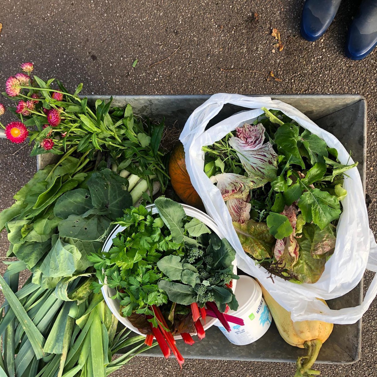 John Harvey 💜 🇺🇦 tweet media