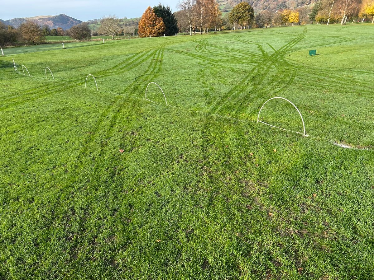 VLGC Greens tweet media