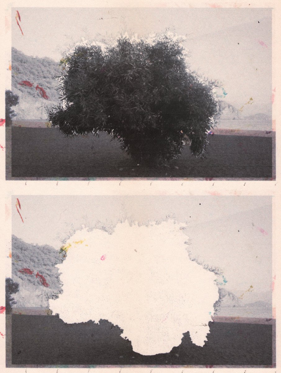 the stillness between us
7/8 | 6 $xtz
⭣⭣⭣