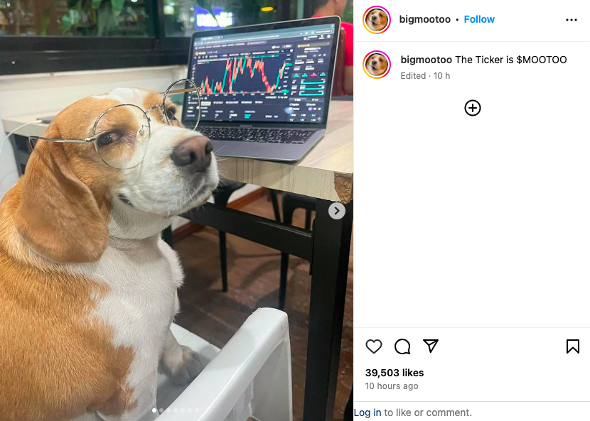 INDOMEE tweet media