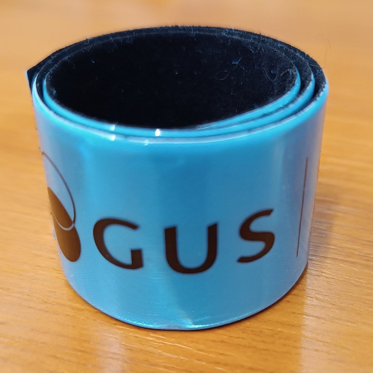 profnes's tweet image. Что за фигню нам раздали на конференции? (К гусям не имеет отношения точно.)