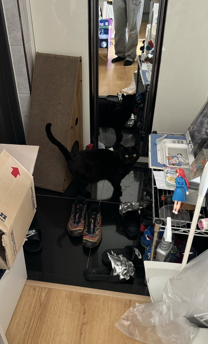 나도가끔 신발장에서 놀람