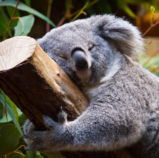 Just keep sleeping😴
When making money is as easy as lying down
💰💰💸💸🪙 🪙

#memefi #memecoin #SUI #BTC