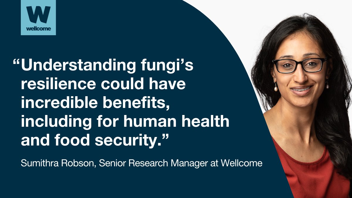 Wellcome tweet media