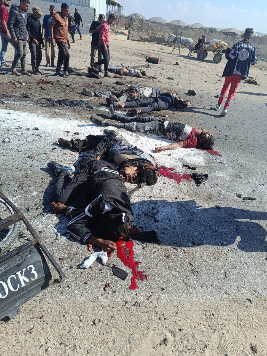 AnasAlSharif0's tweet photo. #عاجل قوات الاحتلال الإسرائيلي ترتكب مجزرة بحق مجموعة من المواطنين شمال مدينة رفح. https://t.co/nh5aiGa6D4