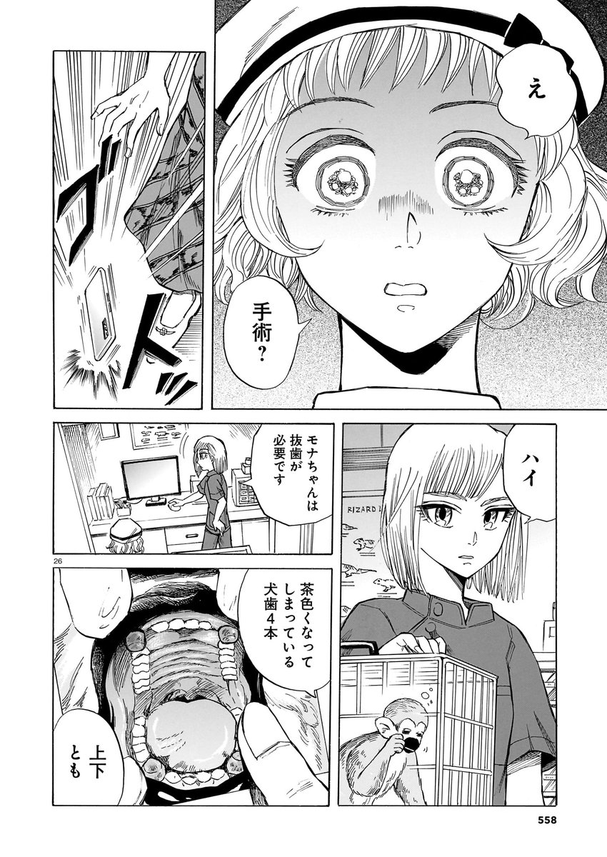 【11月15日発売】
『珍獣のお医者さん』3巻 著・二宮香乃
エキゾチックアニマルを専門とする月光動物病院。今日やってきたのは、人獣共通感染症を持つ"リスザル"でーー!?
重版続々のメディカルエンターテイメント、最新刊!