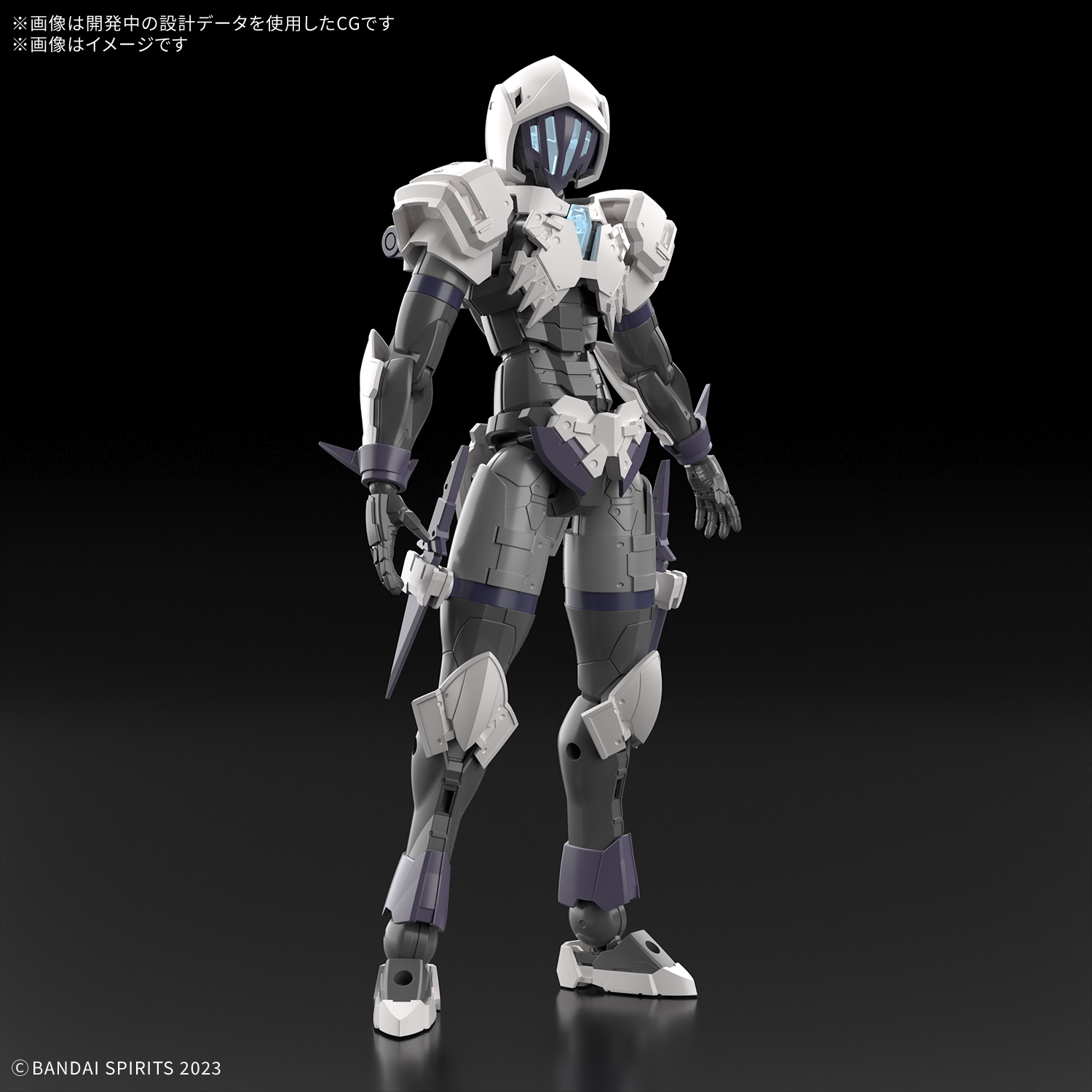 30MF ローザンアサシン 商品画像