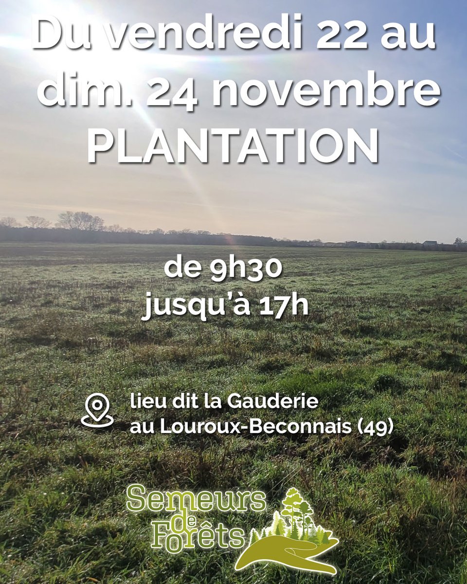 Semeurs de forêts tweet media