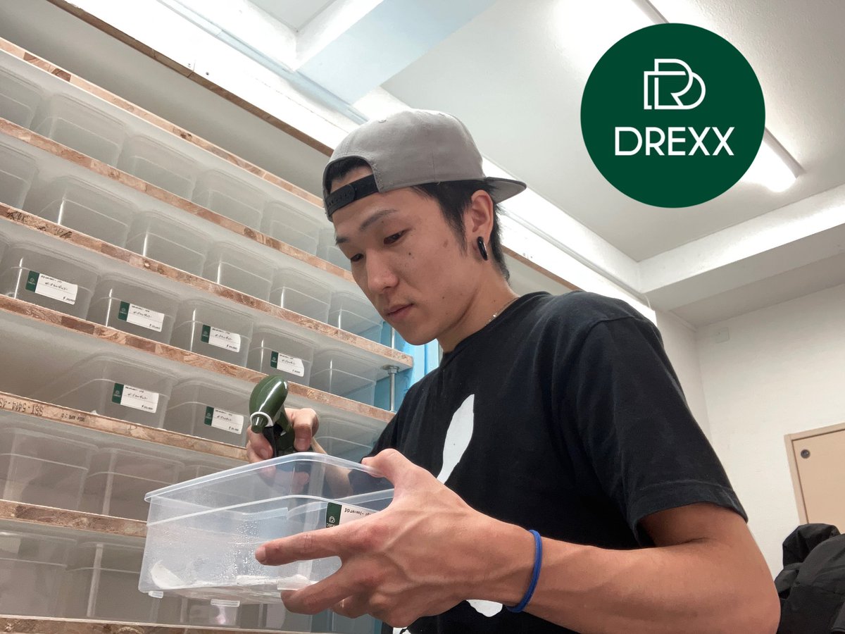 【プレキャンのお知らせ】

DREXXの加藤です！
この度、東京に僕のブリードファーム『DREXX Tokyo Base』を開くことになりました。
しばらくは事前予約制で
事前にご連絡いただければ誰でもご来店可能となってます。
もちろん気に入った子がいればその場でご購入も可能です！