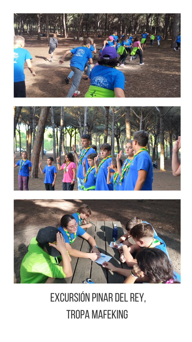 Grupo Scout Ítaca 739 tweet media