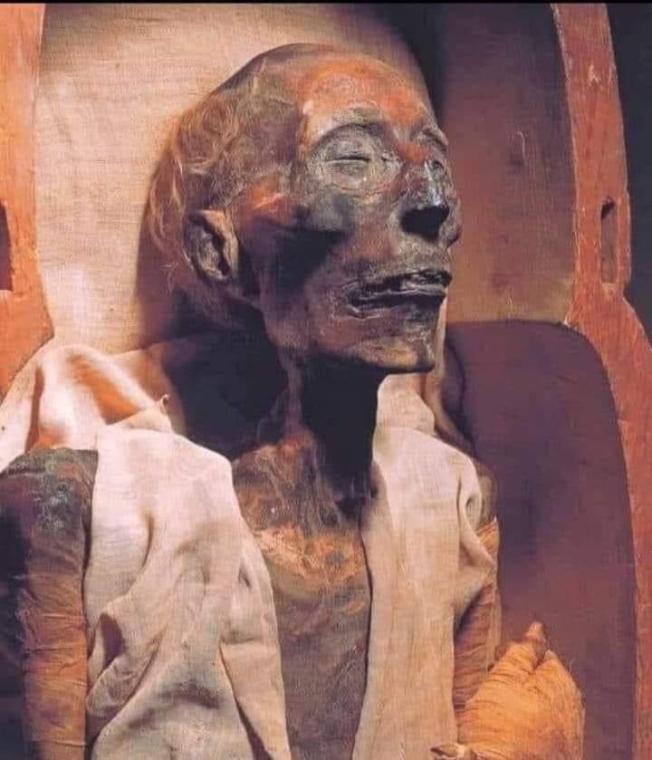 زار عالم دين مصر وزار الأهرامات وعند زيارته لمومياء فرعون سمع أحد الزائرين يتكلم مع المومياء فجلس منصت له 
فسمعه يقول
[ يا فرعون علمتني عشر حكم ]

فجلس الشيخ يستمع بإنصات￼￼