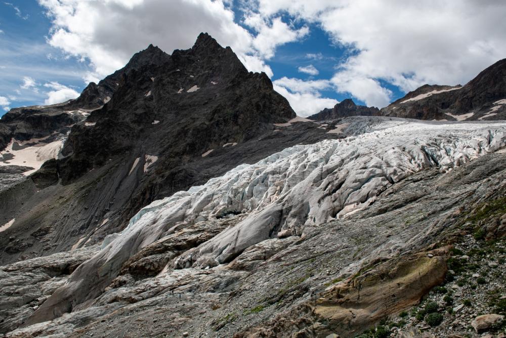 INRAE Lyon-Grenoble Auvergne-Rhône-Alpes tweet media