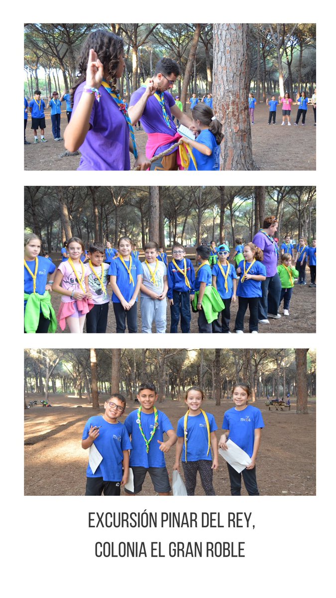 Grupo Scout Ítaca 739 tweet media