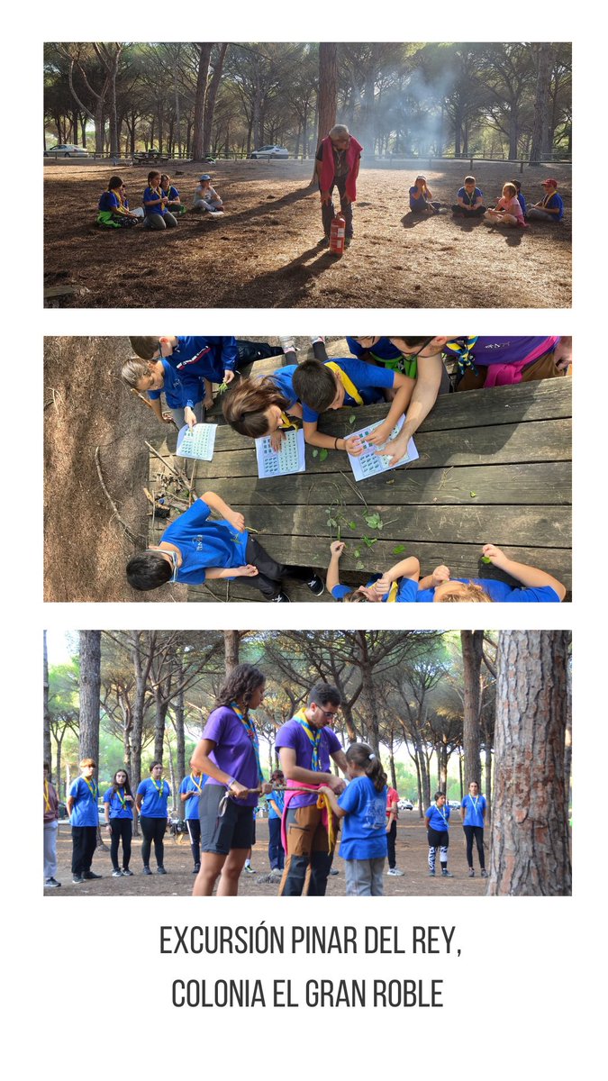 Grupo Scout Ítaca 739 tweet media