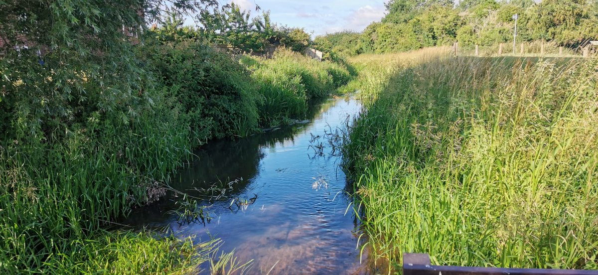 🎨 Join us for an afternoon of art, nature and exploration! 🌿

📆 Sat, 23 Nov 2024, 13:00 –16:00
📌 GroundWork Gallery
🎟️ tinyurl.com/3dphx73r

Meet our engagement lead, Tim, and Artist James Aldridge for a riverside ramble and creative experience.

#NatureInspires