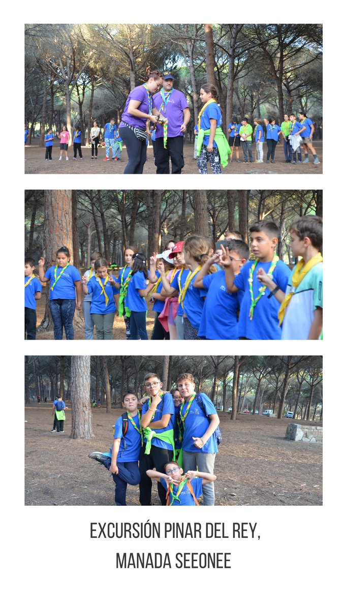 Grupo Scout Ítaca 739 tweet media