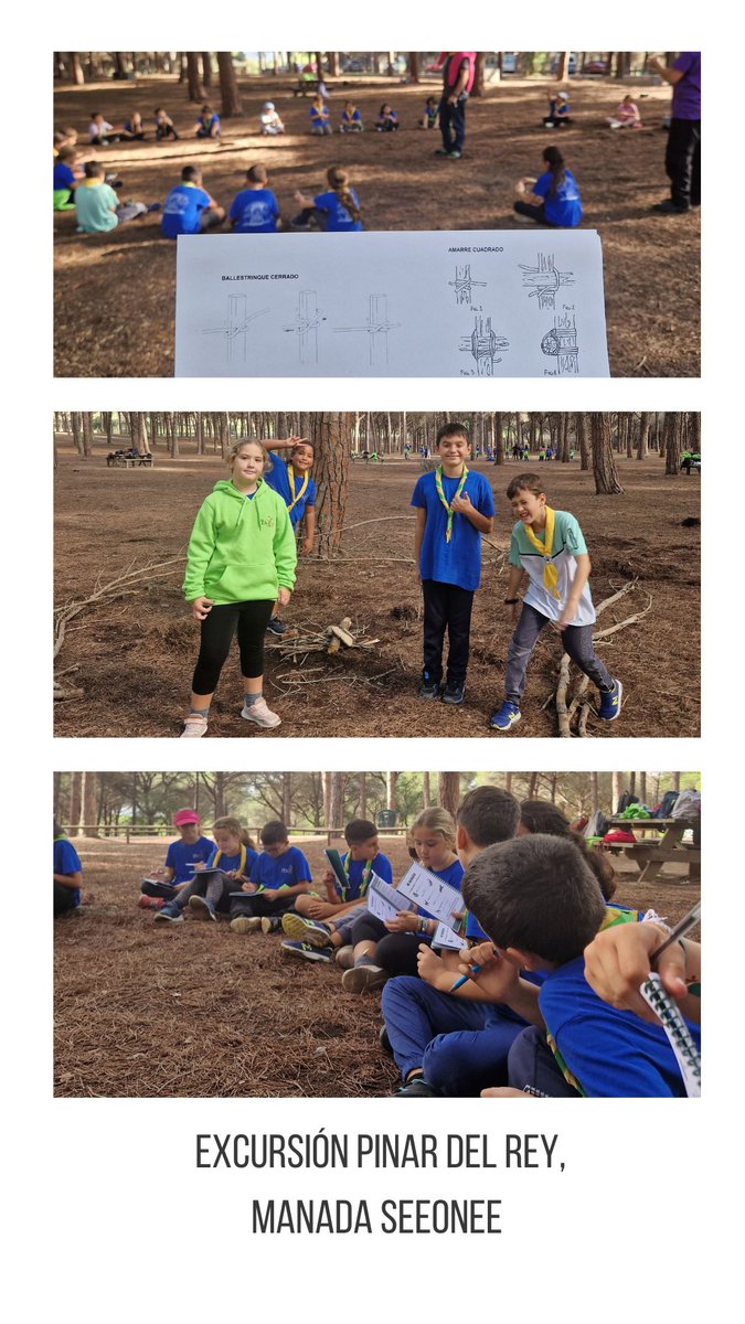 Grupo Scout Ítaca 739 tweet media