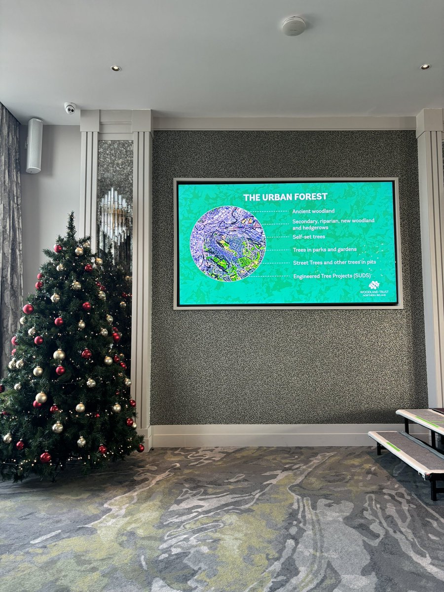 LinenQuarterBID's tweet photo. RE[act] continues with a fascinating talk from Paul Armstrong @WoodlandTrust on the benefits of urban trees, in terms of amenity, aesthetics and sustainable drainage.

Check out the rest of the programme:

https://t.co/R9isLcnynG

#REact24 #PeoplePlacePlanet #COP29 https://t.co/8MBpq7IYRa
