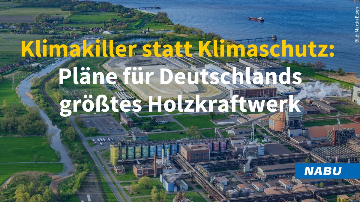 In Stade soll Deutschlands größtes Holzkraftwerk jährlich 500.000 Tonnen Altholz verbrennen – ein echter Klimakiller! 🌡️🔥 Holzbiomasse setzt mehr CO₂ frei als Kohle und Gas. Saubere Alternativen sind verfügbar – warum also Holz verheizen? nabu.de/holzkraftwerk-…