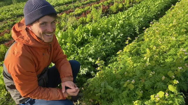 Andelsgaarde (@andelsgaarde) on Twitter photo Christopher, som er en af vores to dygtige forvaltere på Lerbjerggård, har talt med Science Report i denne fine reportage, som også fortæller om vores nye store forskningsprojekt, som er støttet af <a href="/VELUXFONDEN/">VELUX FONDEN</a>. sciencereport.dk/samfund/andels… Christopher, som er en af vores to dygtige forvaltere på Lerbjerggård, har talt med Science Report i denne fine reportage, som også fortæller om vores nye store forskningsprojekt, som er støttet af <a href="/VELUXFONDEN/">VELUX FONDEN</a>. sciencereport.dk/samfund/andels…