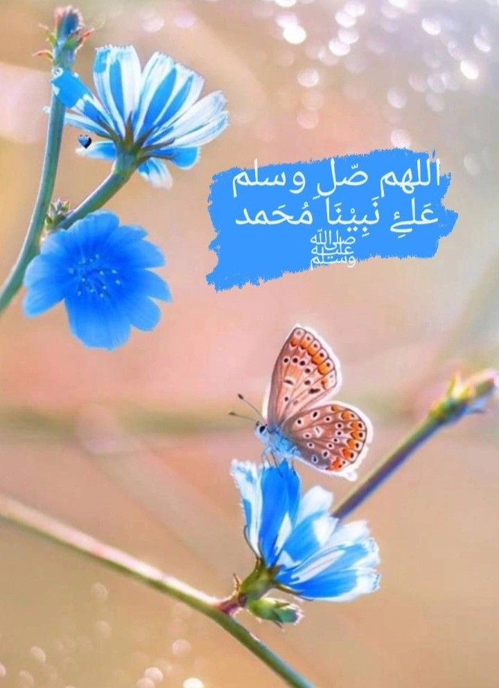 𝕏𝕊𝕒𝕓𝕚𝕟𝕒𝔸𝕟𝕛𝕦𝕞 𝕏 (@sabina78621) on Twitter photo #Sbina_folllowers
🔥
<a href="/9OOOY/">سموالفخامۿ</a>
<a href="/Scottwolio/">الاميره نوف بنت عبدالله</a>
<a href="/7tttJ/">ᘓɹ̇ɹ̤jɺI g͠ᓄɹɹɹ</a>
@Ghz36
<a href="/Gupran100/">نجم العرب</a>
<a href="/MerOkmen/">Ömer ÖKMEN</a>
<a href="/lomaa112/">سلمي</a>
<a href="/Klll098/">Kareem Baloch</a>
<a href="/Bougga1/">Bougga</a>
<a href="/12ZZZ22/">دختور🔥🔥</a>
<a href="/TYT_200K/">🇸🇦''~A҉z҉o҉u҉z҉~''🇸🇦</a>
@abuimus
<a href="/Judeowez/">JUDE LIGHT</a>
<a href="/zeesh_711/">حارق خارق 🔥</a>
<a href="/BAlhbny/">عبد الباسط الحبني</a>
@Atizza4
<a href="/AishaAs82/">اللَُّهم صَلِّ عَلَى نُورِ الأَنْوَار</a>
<a href="/albnan1hd/">خالدالبنّان ✍️</a>
<a href="/Alaayous3/">alaa amy</a>
<a href="/_Hulk1/">🇵 🇦 🇱 🇪 🇸 🇹 🇮 🇳 🇪</a>
<a href="/AbdhokR/">الجنرال</a>
<a href="/ka20747/">الملكي kasim</a>
<a href="/Klll098/">Kareem Baloch</a>
<a href="/F_K__0/">⚔️ 500k ⚔️</a>
@1lrm_
<a href="/Hashmisrar/">Israr Hashmi</a>
@aboahmedanwar #Sbina_folllowers
🔥
<a href="/9OOOY/">سموالفخامۿ</a>
<a href="/Scottwolio/">الاميره نوف بنت عبدالله</a>
<a href="/7tttJ/">ᘓɹ̇ɹ̤jɺI g͠ᓄɹɹɹ</a>
@Ghz36
<a href="/Gupran100/">نجم العرب</a>
<a href="/MerOkmen/">Ömer ÖKMEN</a>
<a href="/lomaa112/">سلمي</a>
<a href="/Klll098/">Kareem Baloch</a>
<a href="/Bougga1/">Bougga</a>
<a href="/12ZZZ22/">دختور🔥🔥</a>
<a href="/TYT_200K/">🇸🇦''~A҉z҉o҉u҉z҉~''🇸🇦</a>
@abuimus
<a href="/Judeowez/">JUDE LIGHT</a>
<a href="/zeesh_711/">حارق خارق 🔥</a>
<a href="/BAlhbny/">عبد الباسط الحبني</a>
@Atizza4
<a href="/AishaAs82/">اللَُّهم صَلِّ عَلَى نُورِ الأَنْوَار</a>
<a href="/albnan1hd/">خالدالبنّان ✍️</a>
<a href="/Alaayous3/">alaa amy</a>
<a href="/_Hulk1/">🇵 🇦 🇱 🇪 🇸 🇹 🇮 🇳 🇪</a>
<a href="/AbdhokR/">الجنرال</a>
<a href="/ka20747/">الملكي kasim</a>
<a href="/Klll098/">Kareem Baloch</a>
<a href="/F_K__0/">⚔️ 500k ⚔️</a>
@1lrm_
<a href="/Hashmisrar/">Israr Hashmi</a>
@aboahmedanwar