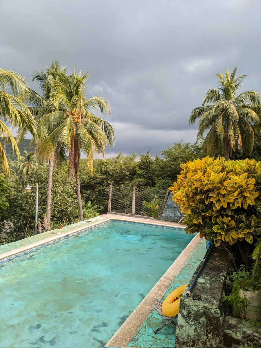 Satoshiskidzz's tweet photo. Endlich Strandtag im Paradies! 🏖🐢 #FreeTheTurtles
Tour durch El Zonte mit Jens & Marc zu den 4Amigos Apartments auf eine kleine Abkühlung im Pool. 🍻
Köstliches Abendessen im traumhaften Palo Verde – Gang komplett, Stimmung top! 🌮✨ https://t.co/RmufX5V82k