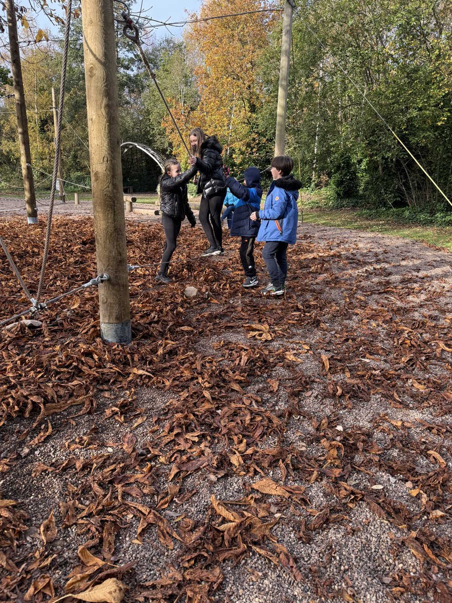 Low ropes!