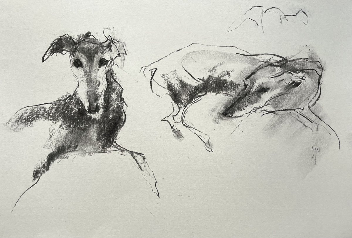 Jamie Muir (@jamiembrixton) on Twitter photo To accompany my sister <a href="/salmuirAdogaday/">sally muir</a> ‘s exhibition of paintings of Spanish hunting dogs rescued by the wonderful <a href="/GalgosdelSol/">Galgos del Sol</a> shelter, I have made a short film about her preparatory drawings. It is on the website of cricketfineart.co.uk under ‘Films’. To accompany my sister <a href="/salmuirAdogaday/">sally muir</a> ‘s exhibition of paintings of Spanish hunting dogs rescued by the wonderful <a href="/GalgosdelSol/">Galgos del Sol</a> shelter, I have made a short film about her preparatory drawings. It is on the website of cricketfineart.co.uk under ‘Films’.
