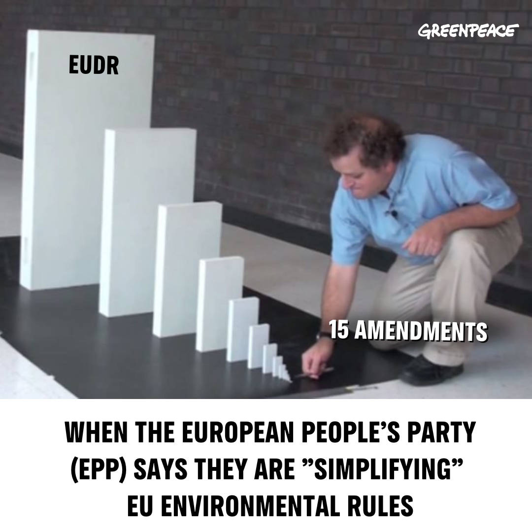 Greenpeace Belgium tweet media