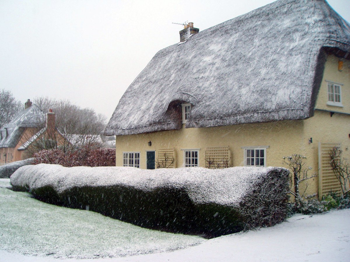 Guardian Home Exchange tweet media