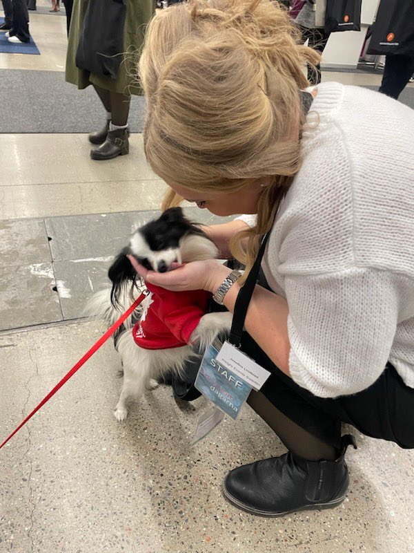 Utställningen är i full gång på #socionomdagarna. En av besökarna! Kanske inte #stoltsocionom men stolt och härlig assistenthund! Fina Gullan