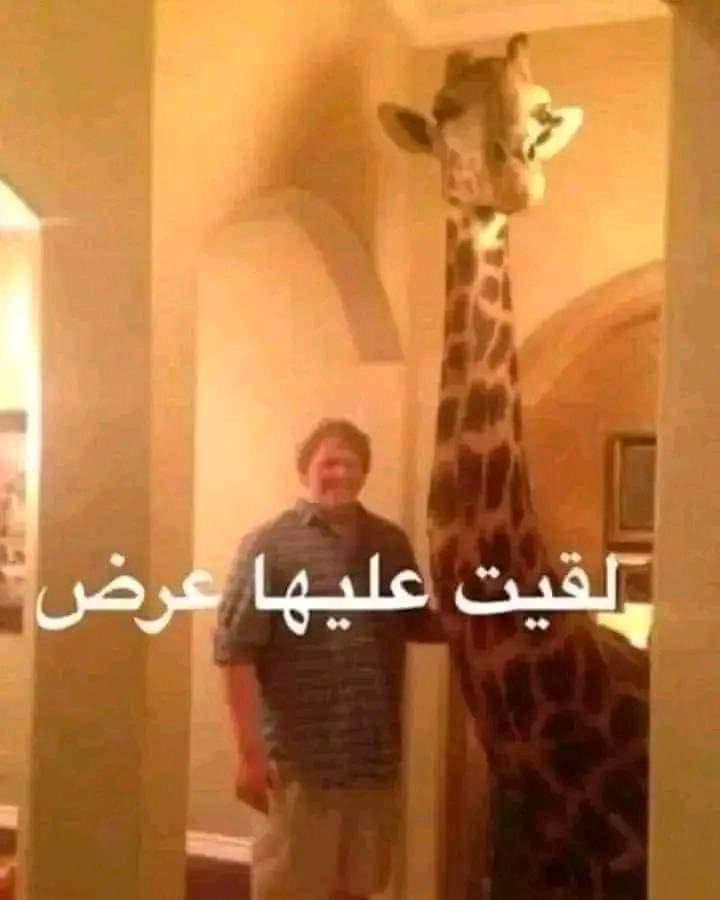egymeme11's tweet photo. *مش هصرف حاجه تاني لآخر الشهر* https://t.co/JePkiLR2J6