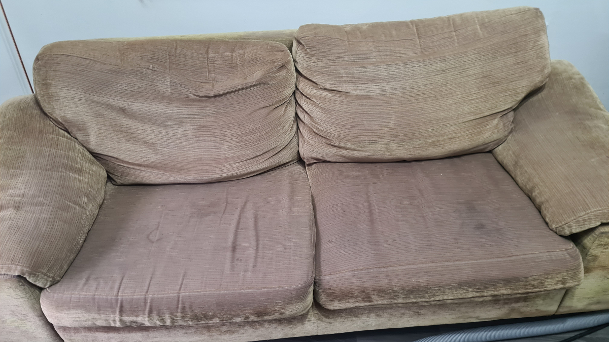 dmcarpetclean's tweet image. A cleaner carpet means a cozier home! Cardiff, let’s make every step feel like new. 🚿🌞 #CardiffLife #DMCleaning #FreshCarpets